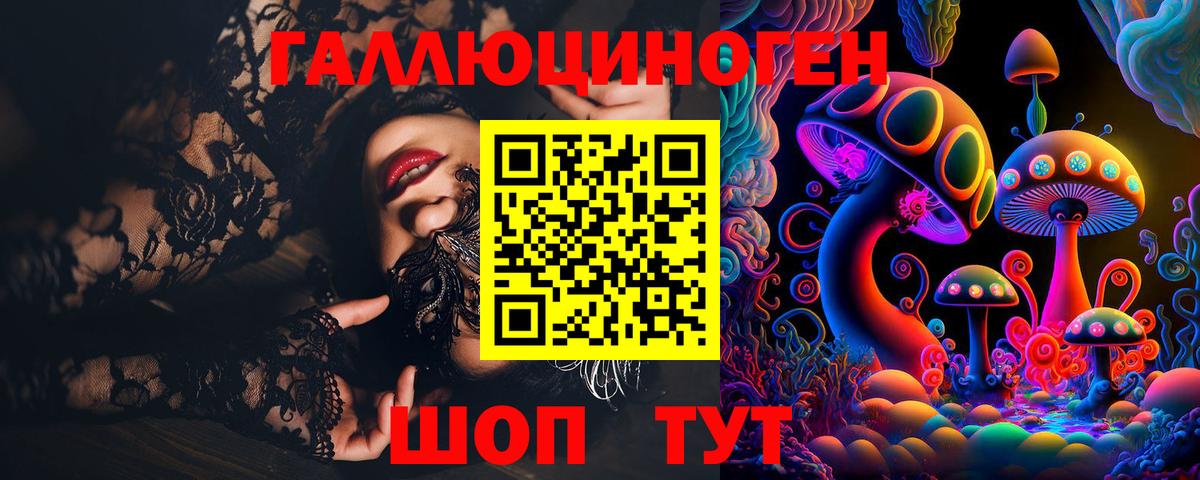 Галлюциногенные грибы Psilocybe Тихорецк