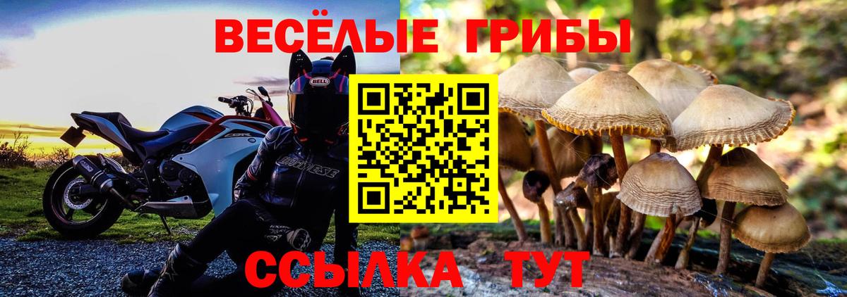 где найти наркотики  Вход с VPN  Тихорецк  Псилоцибиновые грибы ЛСД 